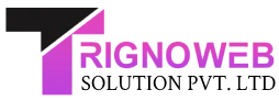 Trignoweb custom website design and development software company.
