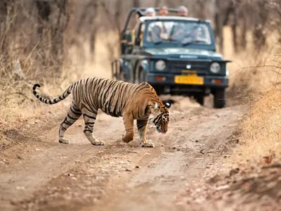 6- Days Golden Triangle Tour With Ranthambore - Tour Image