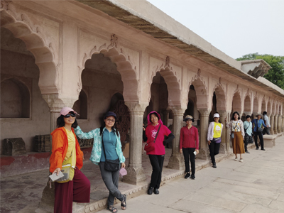 Heritage Walk in Agra - Tour Image