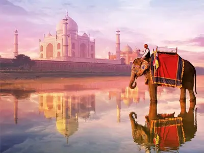 Taj Mahal Tour With Elephant Conservation - Tour Image